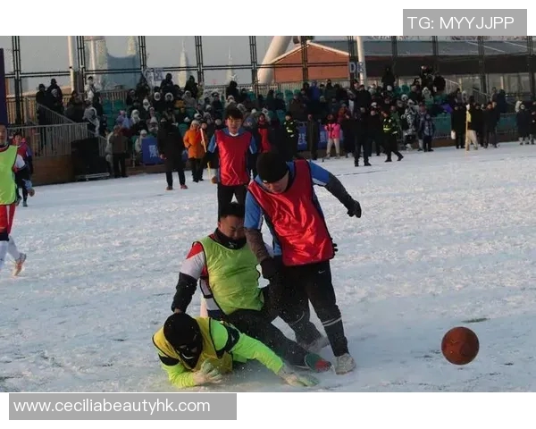 冰雪球队粉丝活动盛典欢聚一堂共庆冰雪激情与团结友谊