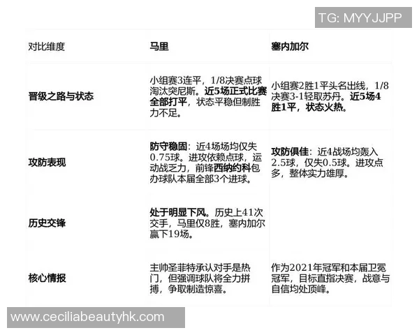 非洲杯助攻榜最新动态分析及球员表现亮点回顾